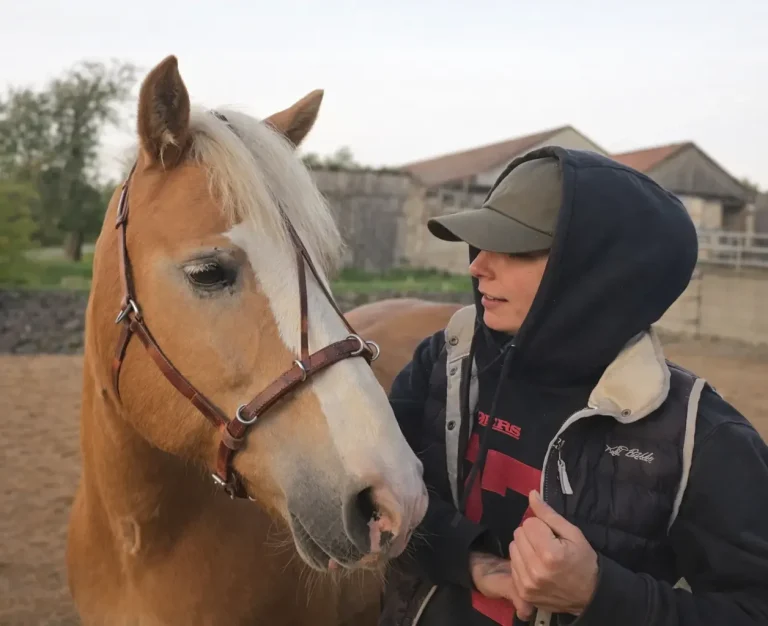 Arbeit mit dem Alleskönner im Pferdealltag Sattlerin mit Pferd im Alltag mit dem Alleskönner Zaum